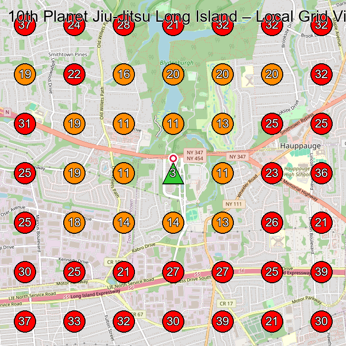 10th Planet Jiu-Jitsu Long Island GeoGrid visibility map for Martial Arts School in Smithtown